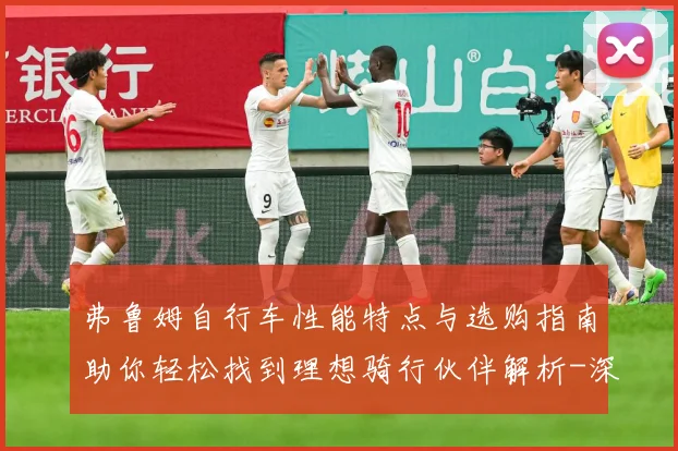 弗鲁姆自行车性能特点与选购指南助你轻松找到理想骑行伙伴解析-深度解析