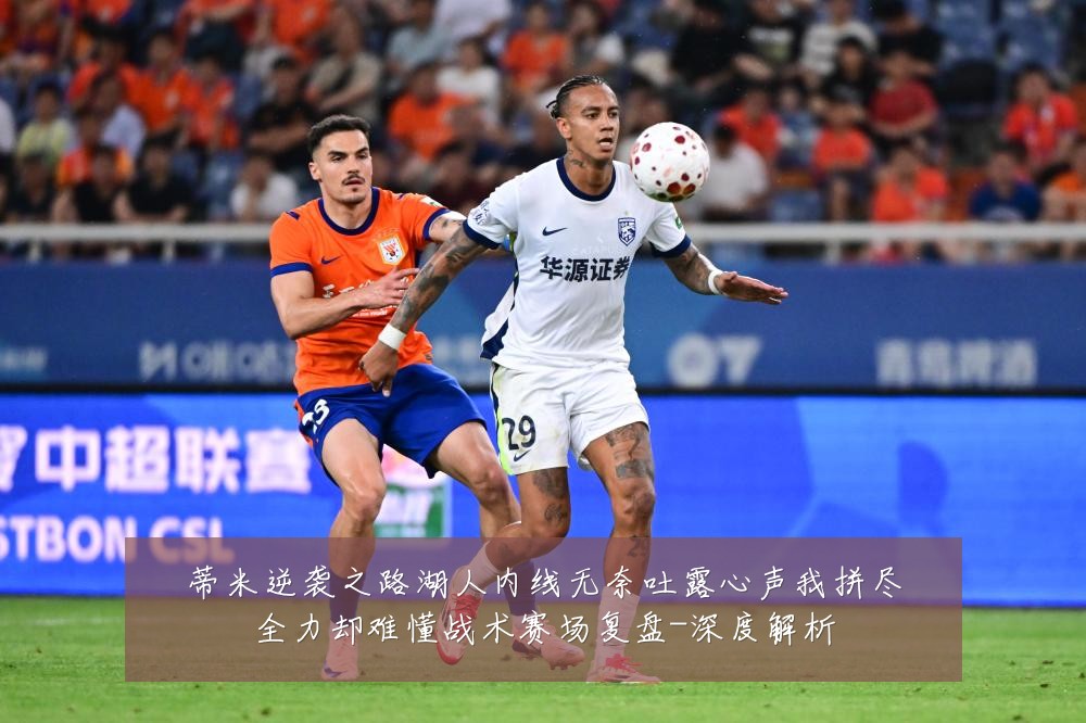 蒂米逆袭之路湖人内线无奈吐露心声我拼尽全力却难懂战术赛场复盘-深度解析
