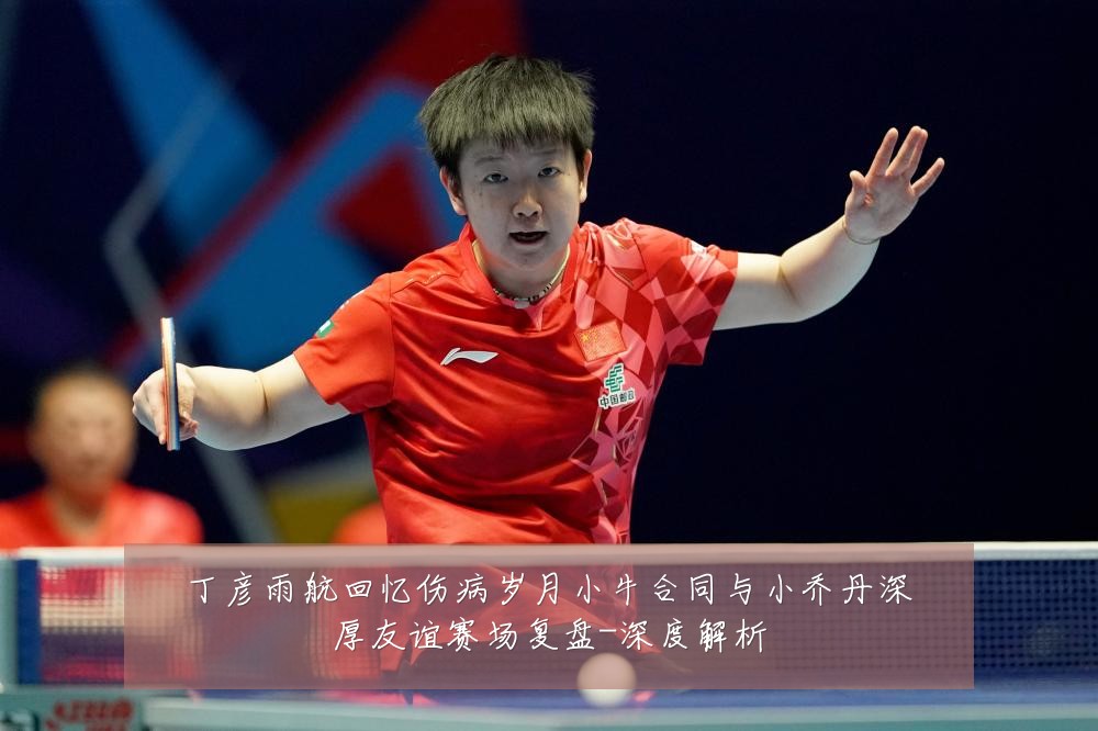 丁彦雨航回忆伤病岁月小牛合同与小乔丹深厚友谊赛场复盘-深度解析